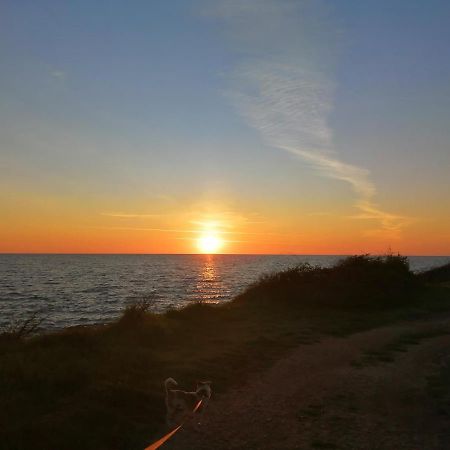 App Palcic K Apartment Novigrad  Luaran gambar