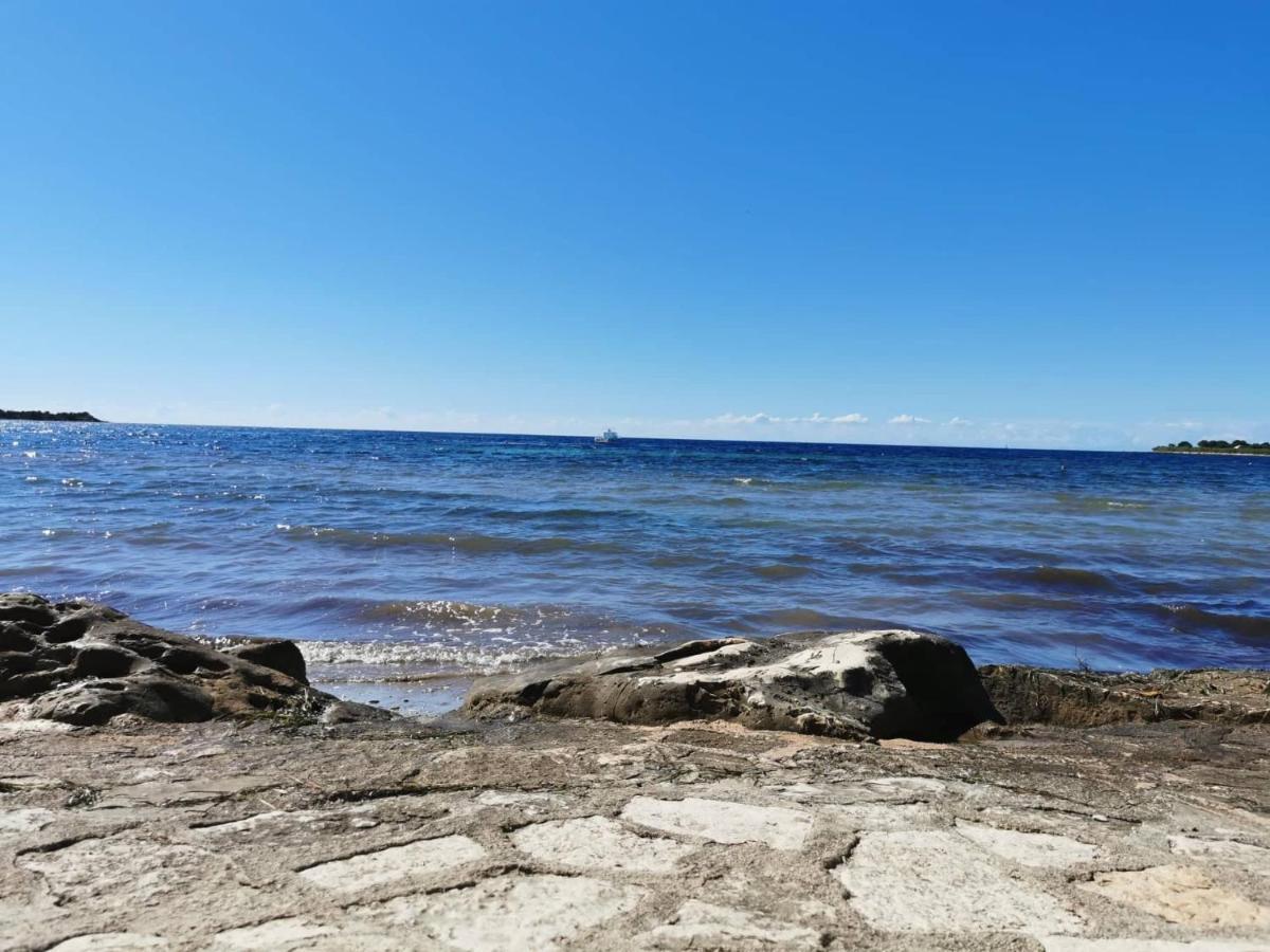 App Palcic K Apartment Novigrad  Luaran gambar