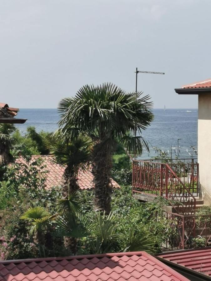 App Palcic K Apartment Novigrad  Luaran gambar