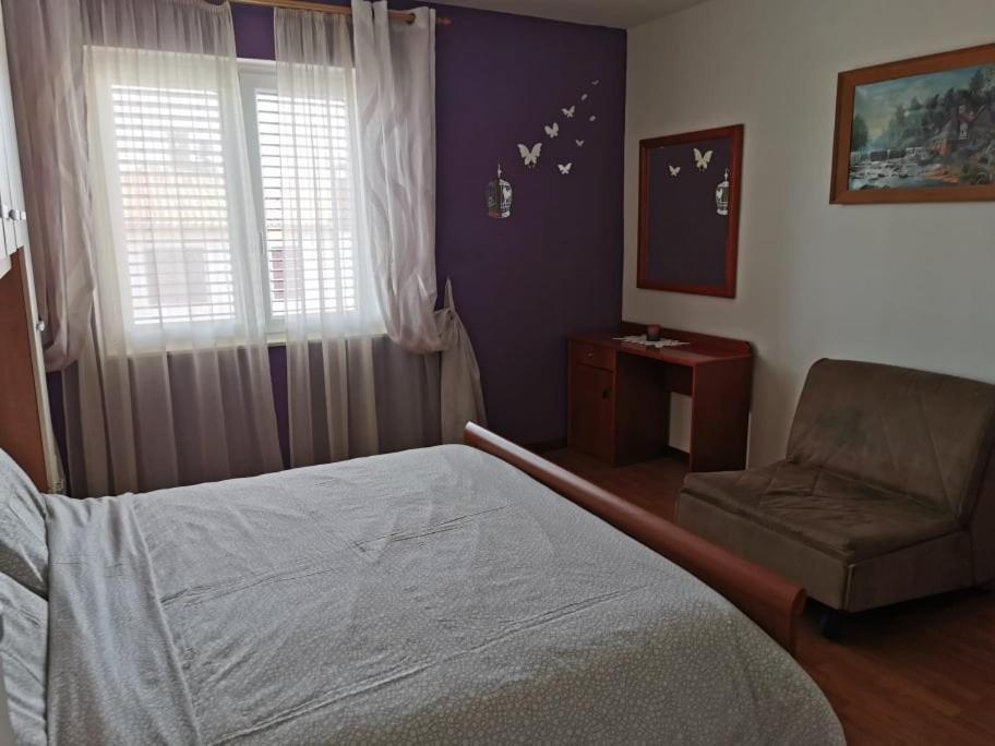 App Palcic K Apartment Novigrad  Luaran gambar