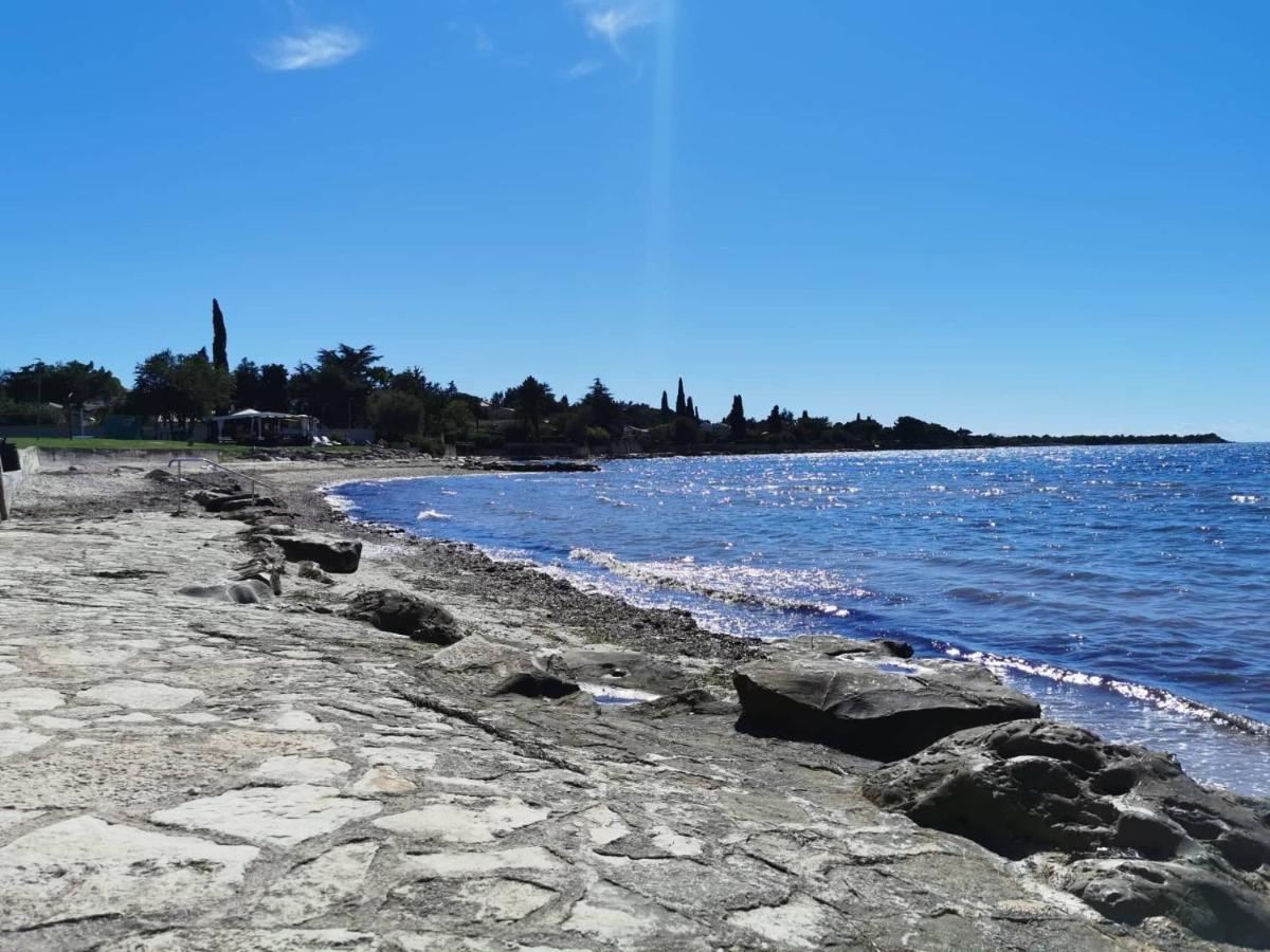App Palcic K Apartment Novigrad  Luaran gambar