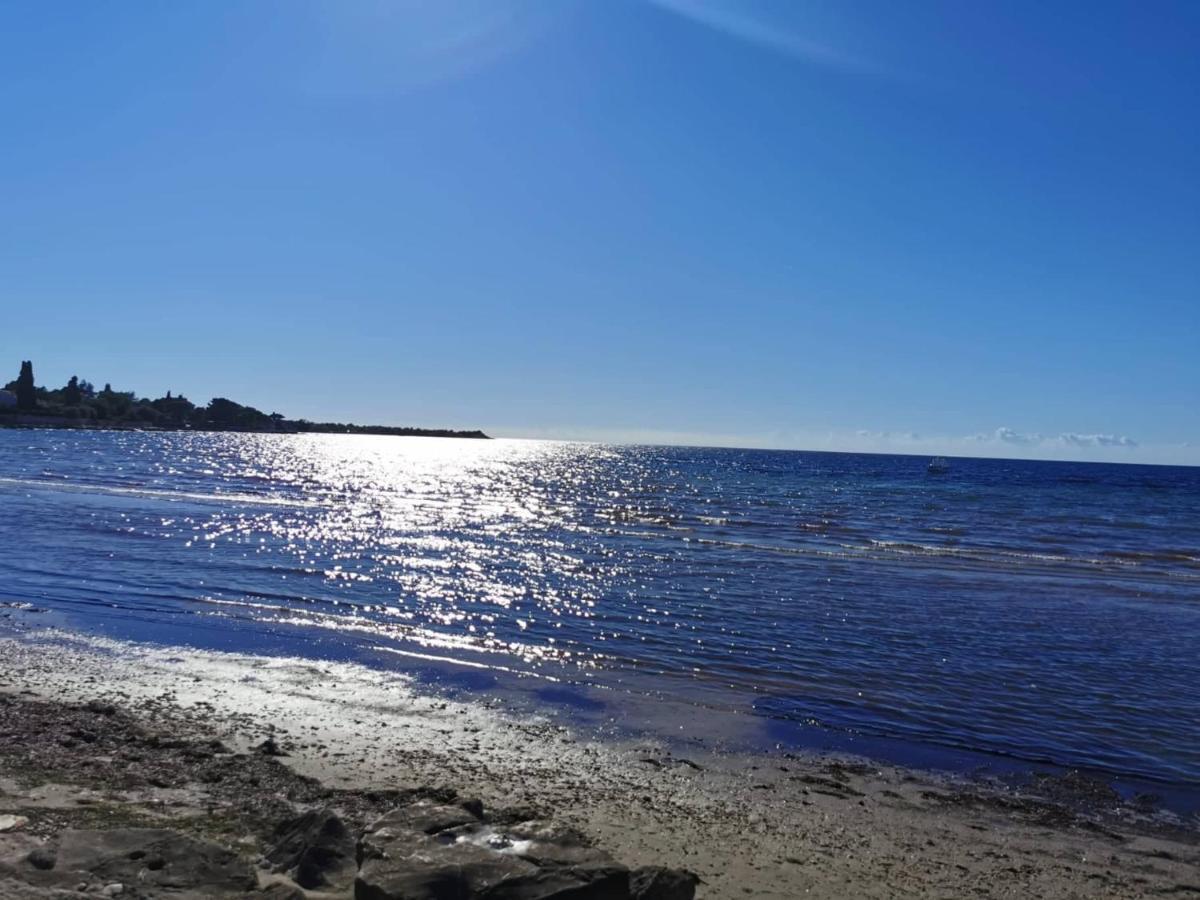 App Palcic K Apartment Novigrad  Luaran gambar