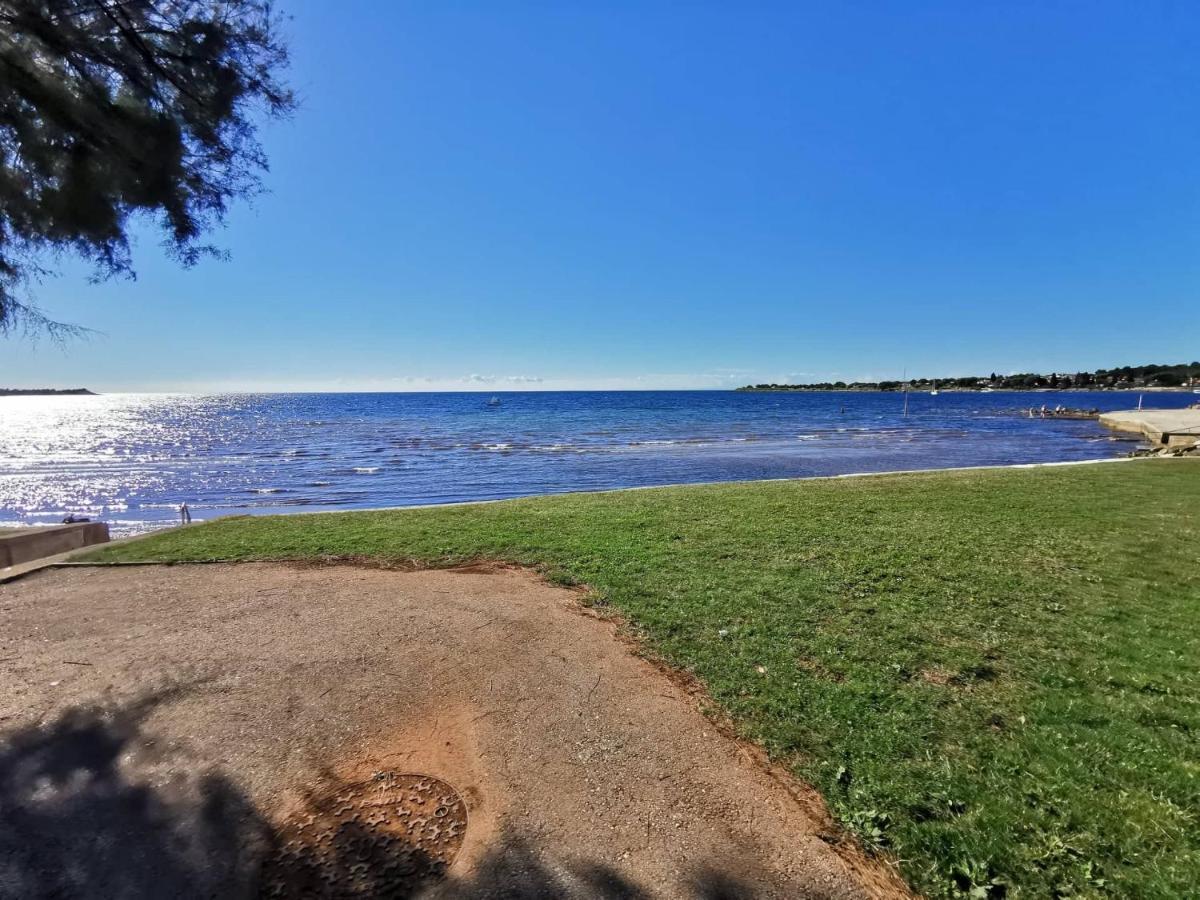 App Palcic K Apartment Novigrad  Luaran gambar