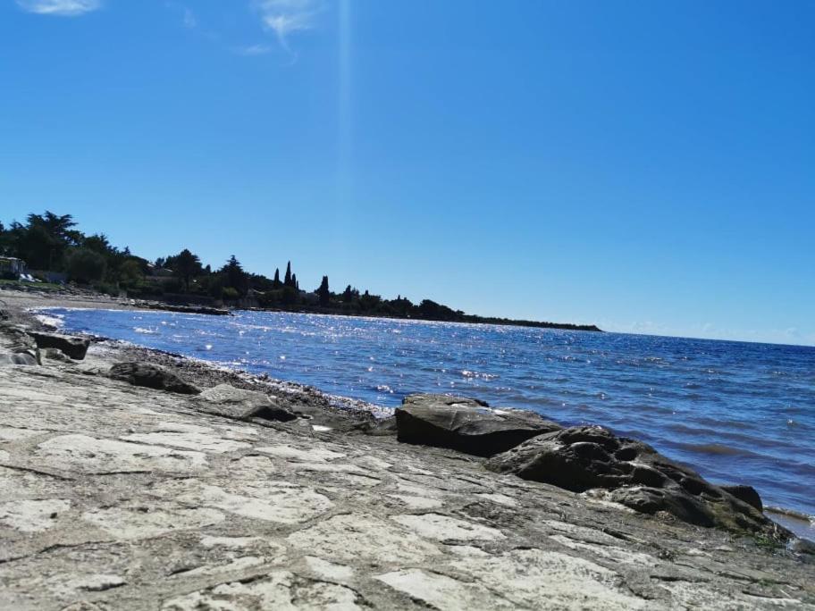 App Palcic K Apartment Novigrad  Luaran gambar