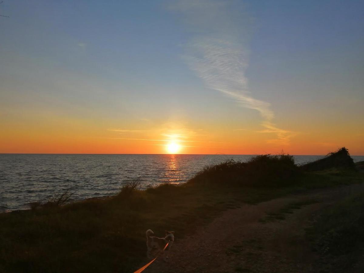 App Palcic K Apartment Novigrad  Luaran gambar